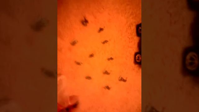 Ау прива смотреть онлайн