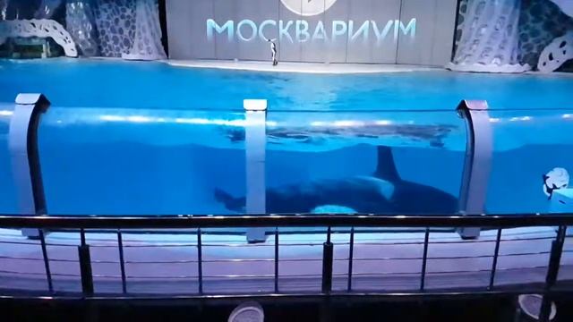 Владимир - музей смотреть онлайн