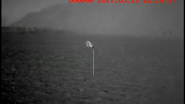 Pulsar XD50 w/ armalite 300 Blackout takes down Feral Hog смотреть онлайн