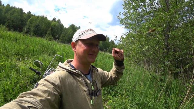 Думал рой. оказалось не рой. смотреть онлайн