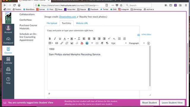 Using the Text Entry Box in Canvas смотреть онлайн