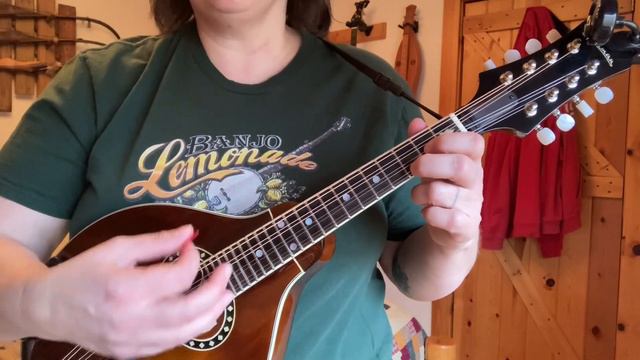 Beginner Mandolin Lesson - Your First 3 Chords смотреть онлайн