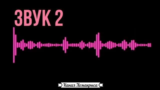 Включи этот звук коту и смотри что будет✓  Любимые звуки котов кошек и собак