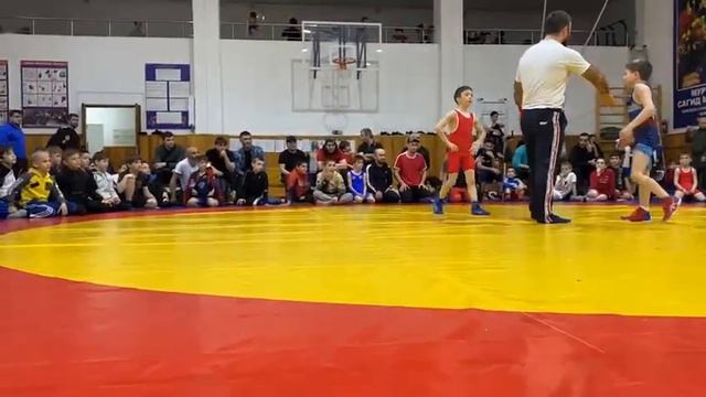 Чеченский волчонок с характером! Яхья Салтагареев . смотреть онлайн