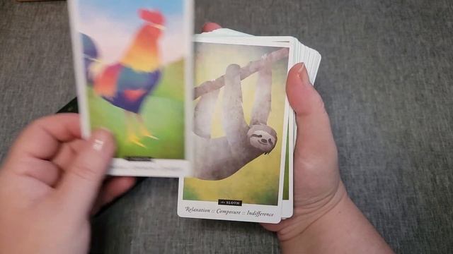 The Familiar Field Oracle Deck Fast Flip, Kickstarter смотреть онлайн