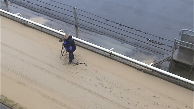 Greyhound 2021 - Trial 1 30.03.2022 смотреть онлайн