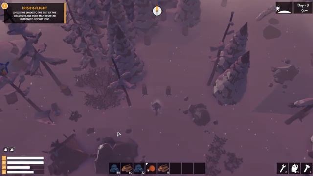 The Wild Eight. Обзор.