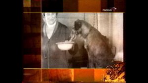 Исторические хроники с Николаем Сванидзе. 1903. Академик Павлов. 2003