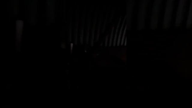 Подсолнечник -черное золото!!! смотреть онлайн