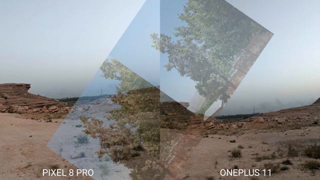 Google Pixel 8 Pro Vs OnePlus 11 Camera Test