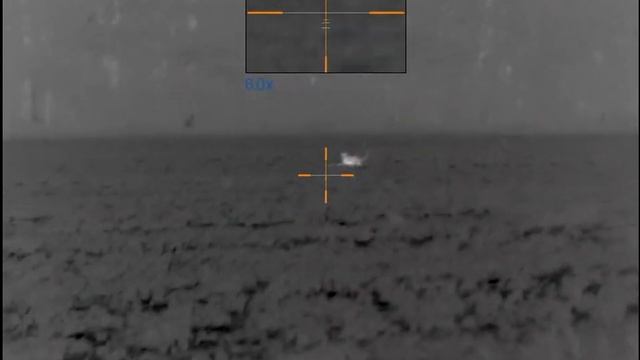 Pulsar Thermion XP38 Coyote Hunt смотреть онлайн