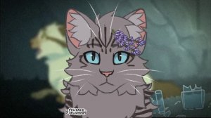 •°Топ 5 моих самых нелюбимых Котов воителей°•