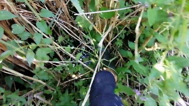 Рыбалка с рогаткой и лодкой?️ смотреть онлайн