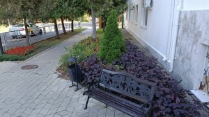 ДИЛУЧ санаторий, корпус 7. Анапа 2022