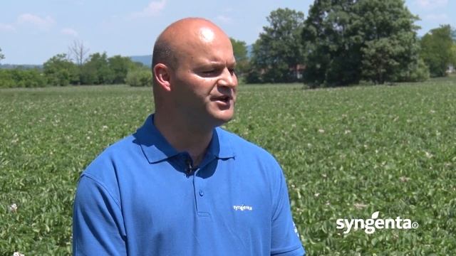 Syngenta Fungicidi – Revus Top®