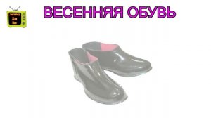 Обувь. Развиваем речь. Логопедическое занятие 0+