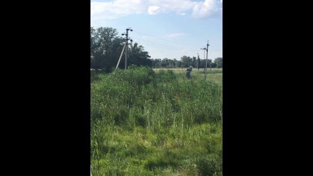 Продажа земельного участка, 2,13 га, 500 м от ... смотреть онлайн