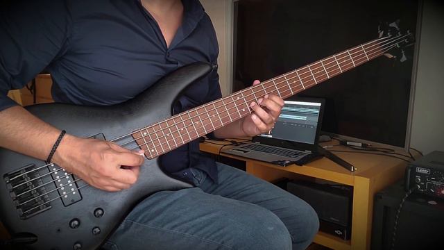 Cynic - Integral / feat. Sean Malone (bass cover) смотреть онлайн