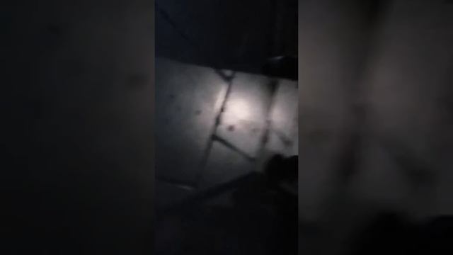 шатура хлебокомбинат (хлеб вреден для здоровья и риски)6 смотреть онлайн