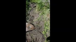 Глубинный металлоискатель Fisher gemini 3 - на что он способен?