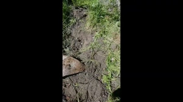 Глубинный металлоискатель Fisher gemini 3 - на что он способен?