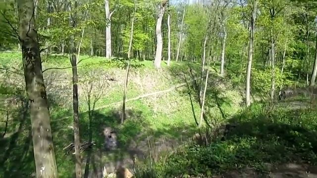 ПАРК ВЕСНА ОСЕНЬ ГРУСТЬ 2019Г смотреть онлайн