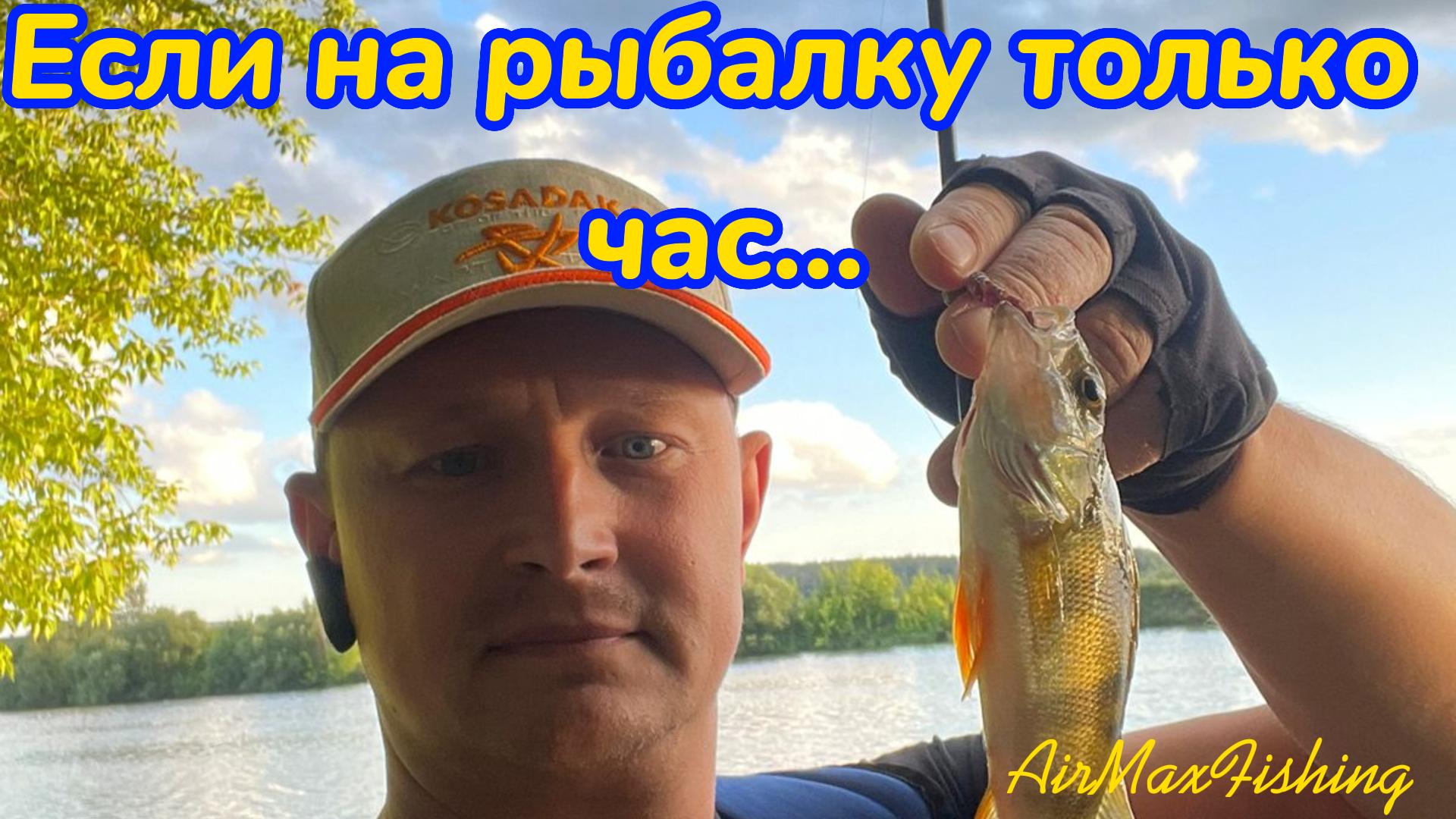 Как поймать окуня на микроджиг? В деле Crazy Fish Arion&Daiwa Regal