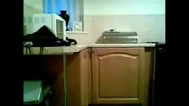 На танцующих утят быть похожими хотят Видео из +100500 смотреть онлайн