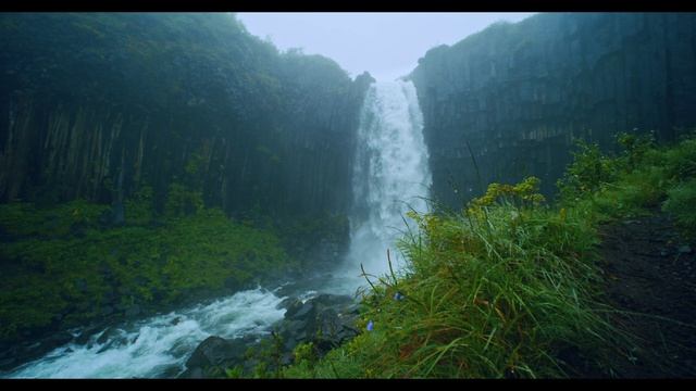Beautiful Svartifoss Waterfall | Skaftafell Iceland | Meditate Yoga Sleep Study Relax смотреть онлайн