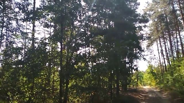 26 июня Я пришел к тебе с приветом Фет А смотреть онлайн