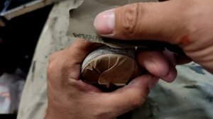 Восстановление сбитых носиков на обуви.