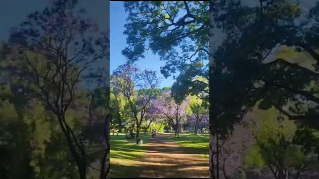 В России начинается зима, а в Аргентине лето. Argentina. смотреть онлайн