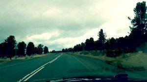 Александр Гросс-Мой Алтай