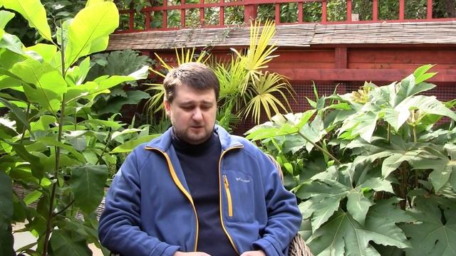 Вопросы-ответы, 1-я серия. "Русский Экзотический Сад" - что это? смотреть онлайн