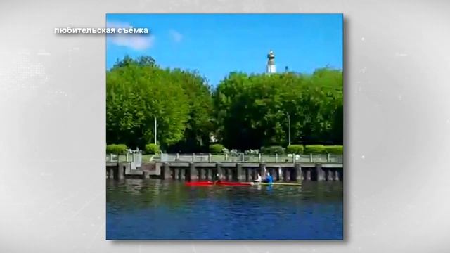 В Твери лось прогулялся по центру города и искупался в Волге