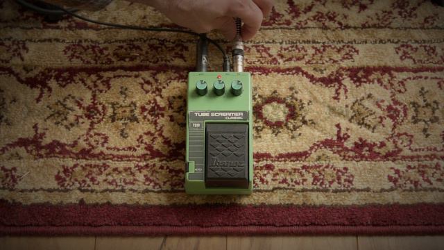 Ibanez TS10 Sound Demo and Issues (Reverb Sale) смотреть онлайн