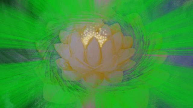 Цветотерапия. ЦВЕТОК ЖИЗНИ. Автор Людмила Браславская. смотреть онлайн