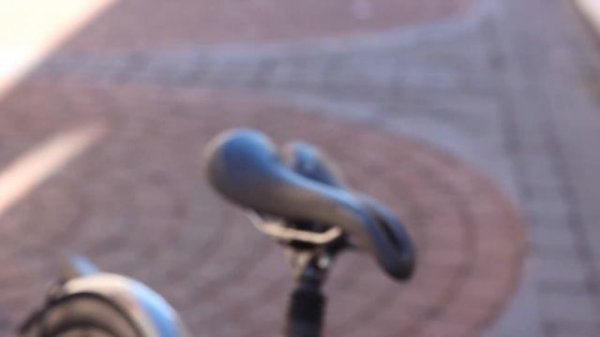 Selle SMP Well Gel Saddle Review