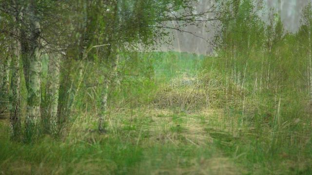 Деревенские этюды 4К смотреть онлайн