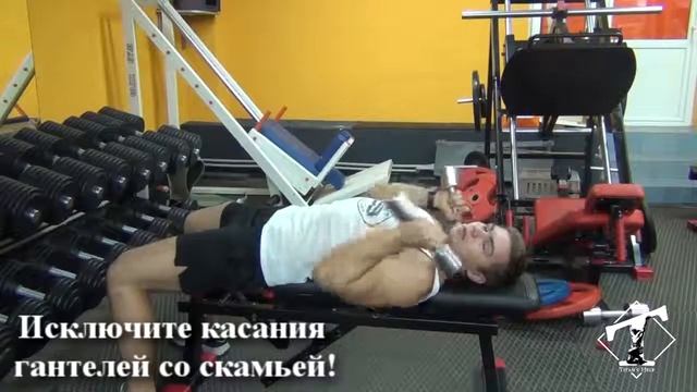 Как накачать трицепс пулловеры с гантелями, техника смотреть онлайн