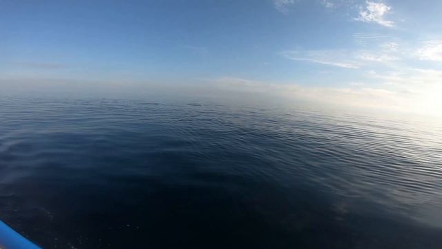 Судак 2020 я еду в открытое море к дельфинам смотреть онлайн