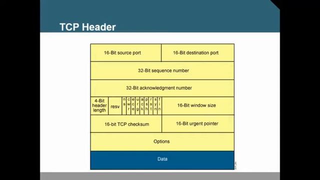Lesson 2-Transport Layer смотреть онлайн