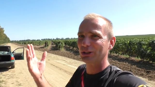 TarLab или фронт за 250 000 рублей (эксперимент). смотреть онлайн