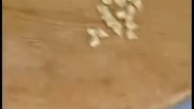 чтрк крымские татары.flv смотреть онлайн