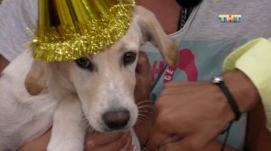 ДОМ-2 После заката 5185 день Ночной эфир (21.07.2018)