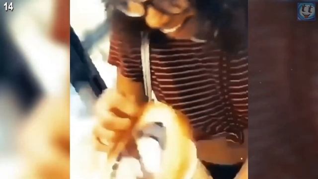Камера Поймала Супер Удачный Момент, Такое Увидишь не Каждый День! смотреть онлайн