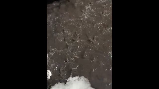 Черную воду в горной речке обнаружили в Хабаровском крае смотреть онлайн
