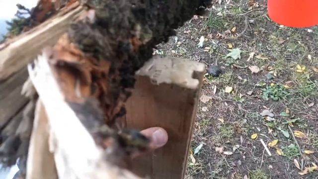 5 литров кипятка VS 5 литров ледяной воды! смотреть онлайн