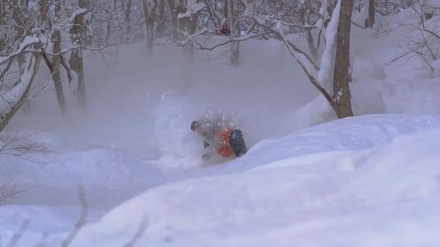 Wildcats The Teaser TransWorld SNOWboarding смотреть онлайн