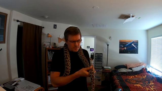 BURMESE PYTHON 8 MONTHS LATER смотреть онлайн